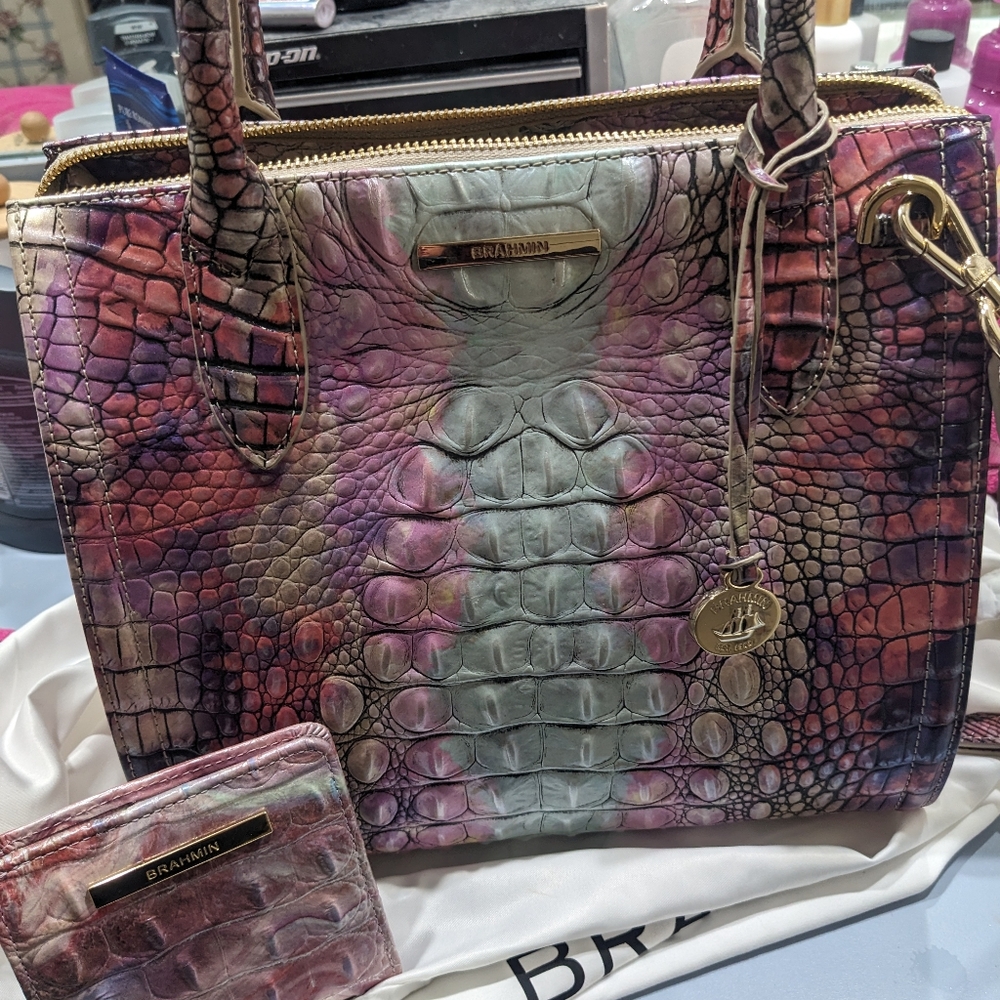 Beautiful Brahmin Bag